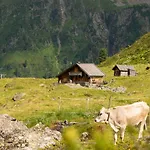 Bergblick