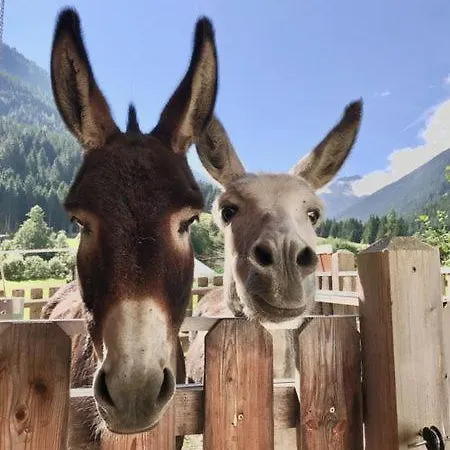 Bergblick *
