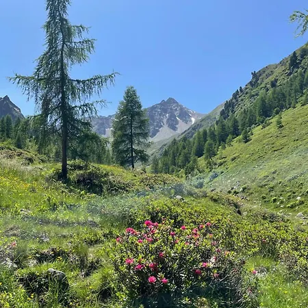 Bergblick Διαμέρισμα *